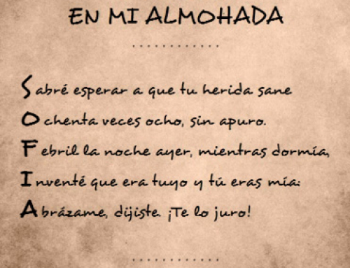 Capítulo 13